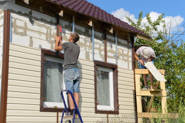 Best Stone Veneer Siding  in Chicago Heights, IL