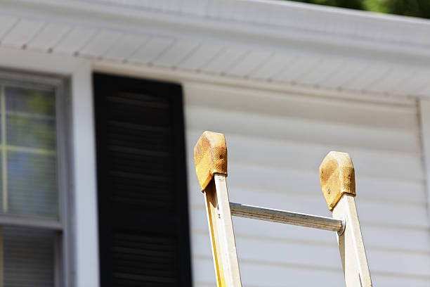 Best Custom Trim and Detailing for Siding  in Chicago Heights, IL